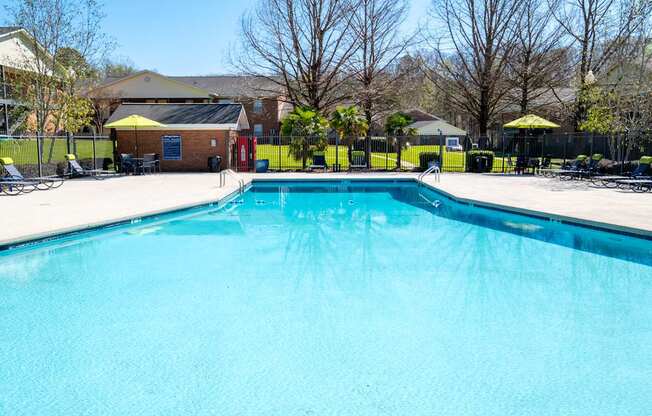 A large blue swimming pool in a sunny outdoor setting.