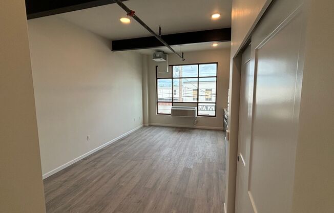 Studio, 1 bath, 398 sqft, $1,250, Unit 205