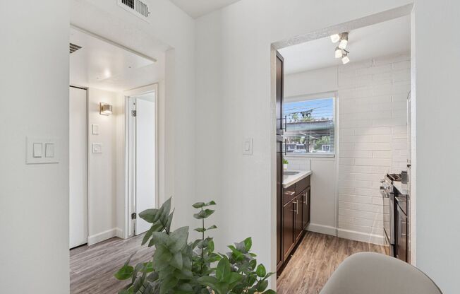 Studio, 1 bath, 441 sqft, $999, Unit 135