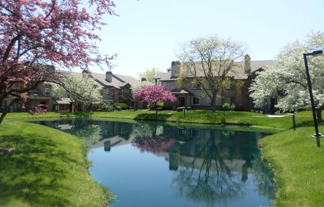A pond in a garden with a house in the background.