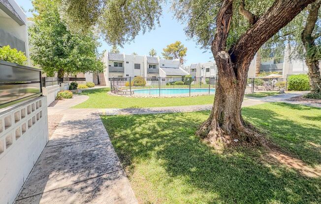 1 bed, 1 bath, $1,195, Unit MV C 8