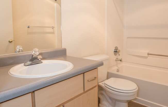 a bathroom with a sink toilet and bathtub