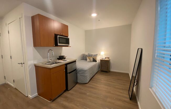 Studio, 1 bath, 185 sqft, $1,450, Unit 5210