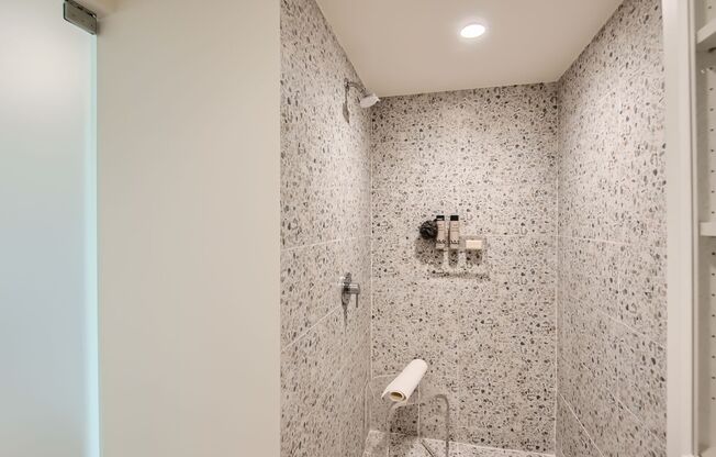 Studio, 1 bath, 300 sqft, $1,950, Unit Apt 704