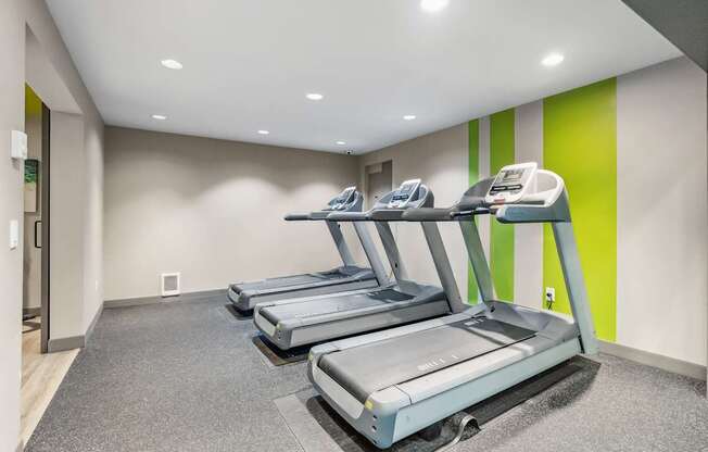 A row of treadmills are lined up in a gym.