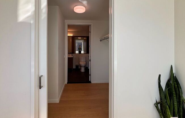 Studio, 1 bath, 480 sqft, $2,500, Unit 2305