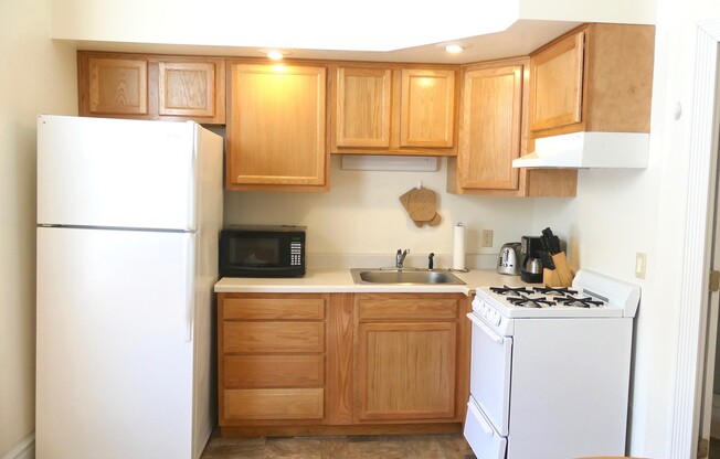 1 bed, 1 bath, $1,350, Unit Apt 1