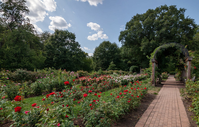 Stop and Smell the Roses at Bon Air Park