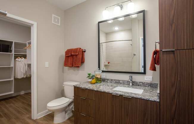 a bathroom with a sink and a toilet and a mirror