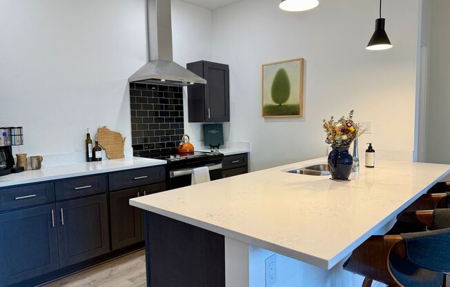 1 bed, 1 bath, 746 sqft, $1,350, Unit 123 Boneset Ave. Apt 5