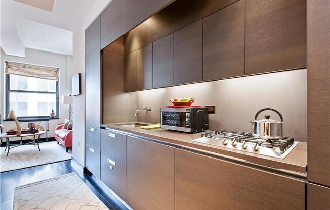 20 Pine St Apt 1411