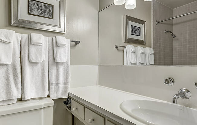 a bathroom with a sink and a toilet