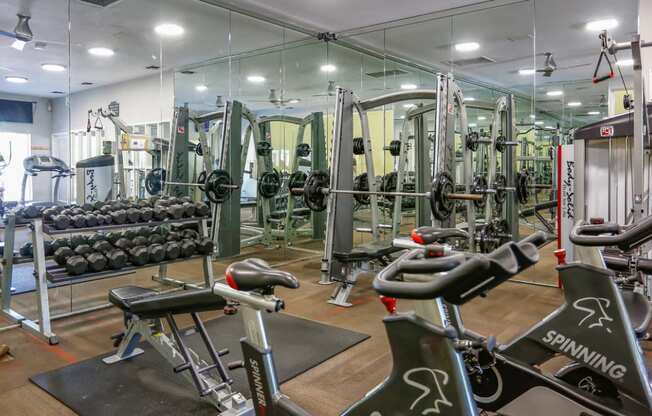 Free Weights And Cardio Equipment at The Adelaide, Florida