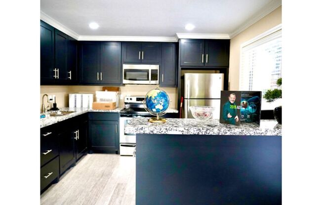 a kitchen with black cabinets and a globe on the counter