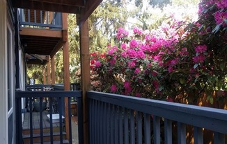 1 bed, 1 bath, 710 sqft, $1,795, Unit 09
