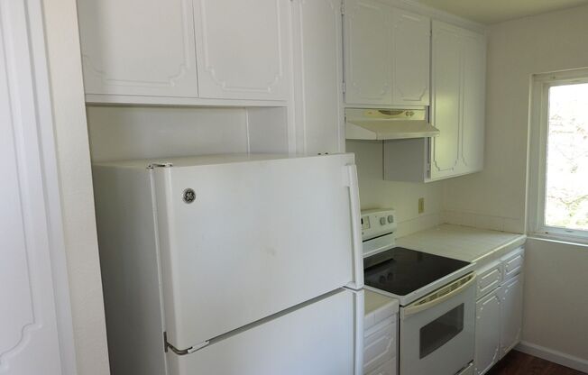 4481mont