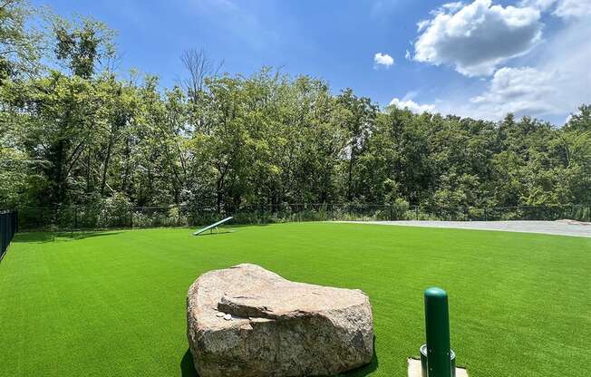 Large gated dog park