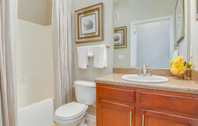 Guest Bathroom at Reserve Bartram Springs, Jacksonville, FL