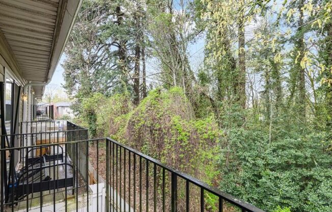 1 bed, 1 bath, 547 sqft, $1,200, Unit 41