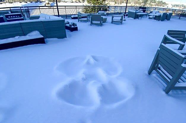 Snow Angel on Sky Terrace at Harbor Heights 55+ Community, Olympia, WA, 98501