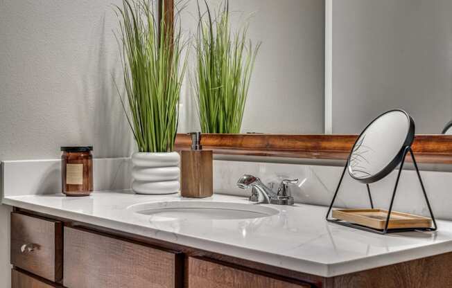 Bathroom sink with a mirror and plants on it at The Atlantic Highland Park, Dallas, TX