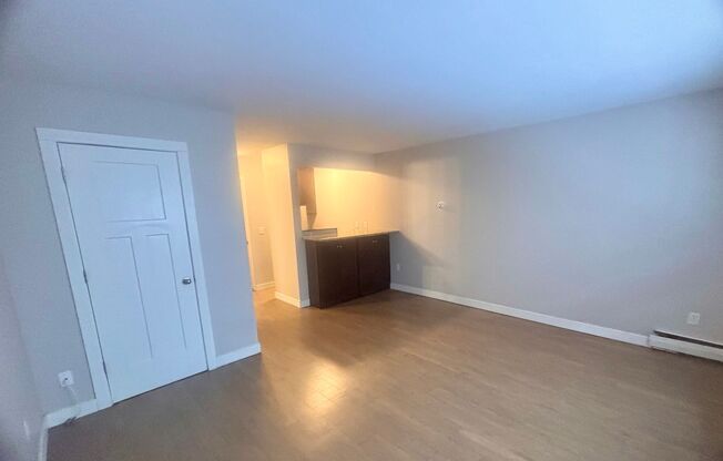 Studio, 1 bath, 300 sqft, $795, Unit 205