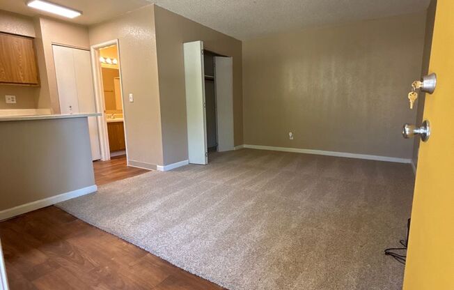 1 bed, 1 bath, 379 sqft, $679, Unit 129