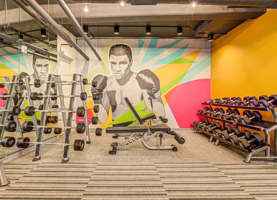 Modern Fitness Center at Centro Arlington, Virginia, 22204