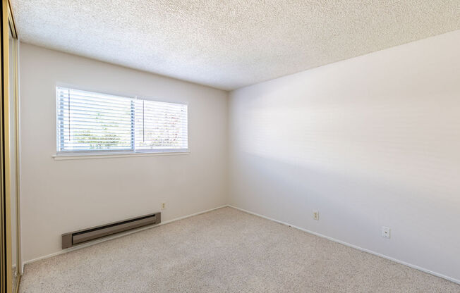 an empty bedroom with a window and carpeting