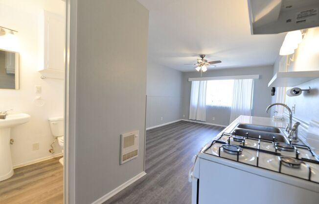 Studio, 1 bath, 350 sqft, $1,995