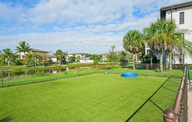 A backyard with a green lawn and a blue pool.