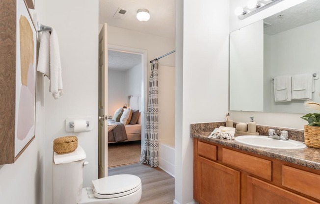 a bathroom with a toilet and a sink and a mirror