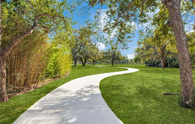 a concrete path through a park with grass and trees