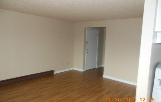 1 bed, 1 bath, 650 sqft, $1,350, Unit Cleopatra Apt - #10