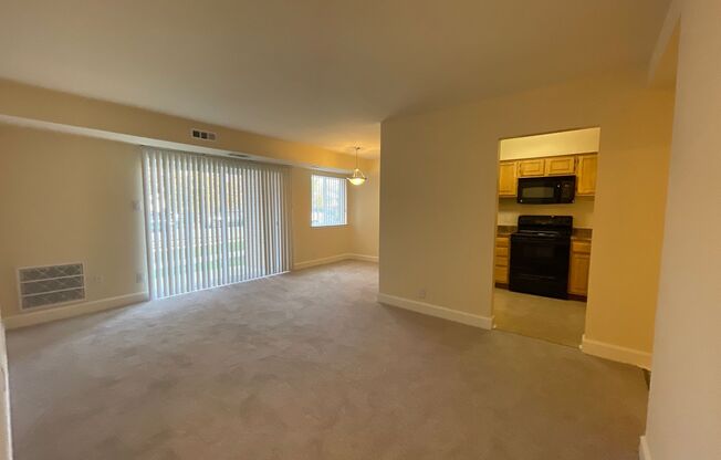 1 bed, 1 bath, 745 sqft, $1,550, Unit 14202 #A1