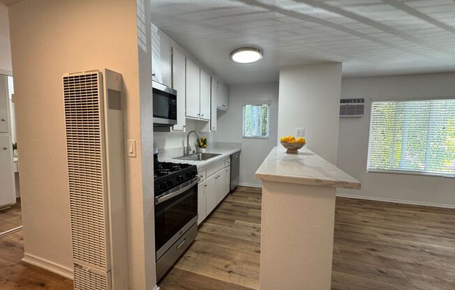 Studio, 1 bath, 500 sqft, $1,625, Unit 045#46