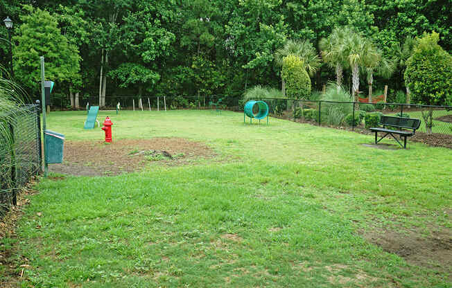 Vinings at Carolina Bays Pet Play Area