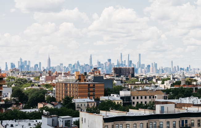 1 bed, 1 bath, $3,095, Unit 207