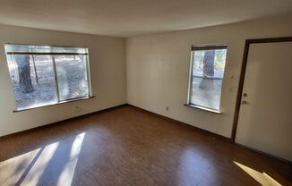 1 bed, 1 bath, $1,500