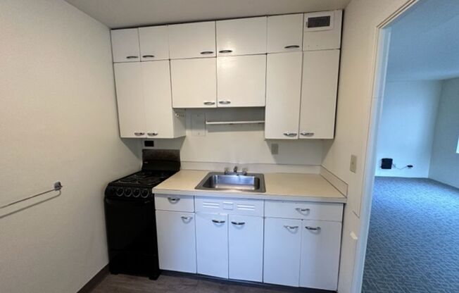 1 bed, 1 bath, 548 sqft, $1,249, Unit 304A