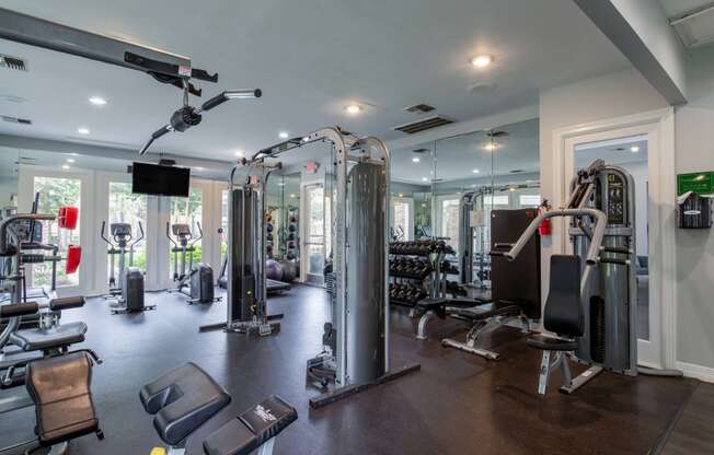 Pet-Friendly Apartments in Houston, TX – Westchase Forest – Photo fitness center