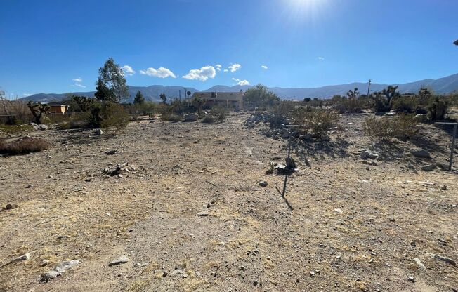 LUCERNE VALLEY