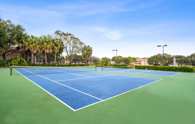 two tennis courts on a blue and green court with palm trees