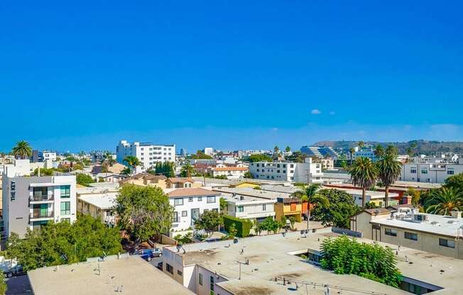 A sunny day in a residential area with a clear blue sky.