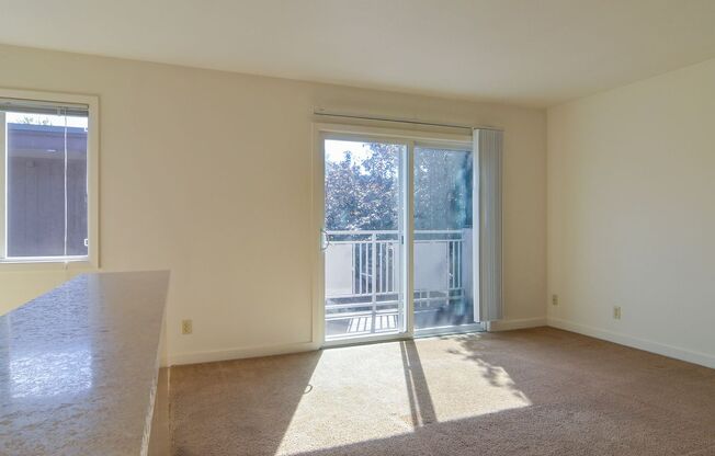 1 bed, 1 bath, $1,150, Unit 7