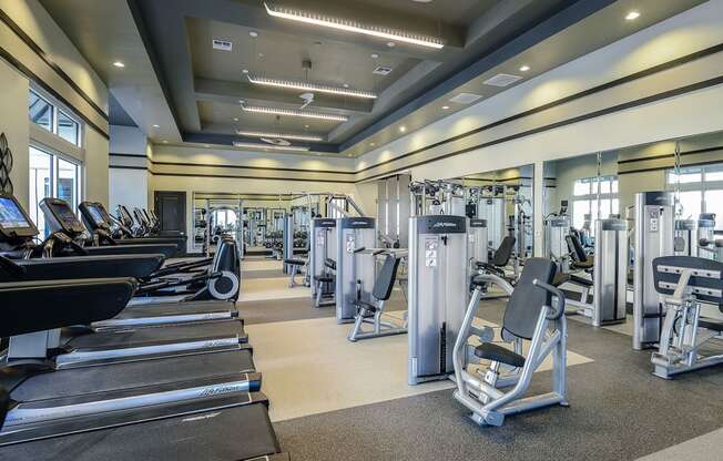 Professional Fitness Center at Epic at Gateway Luxury Apartments in St. Petersburg, FL