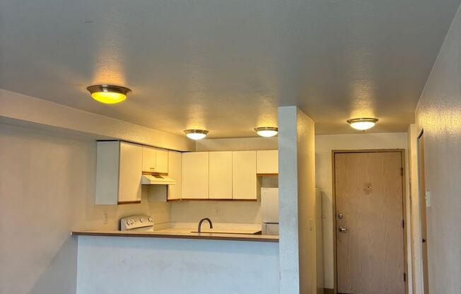 1 bed, 1 bath, 715 sqft, $1,750, Unit 304