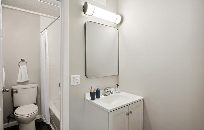 Model Bathroom with a separated Bathtub/Shower/Toilet, Wood-Style Flooring & White Cabinets at Elevate on Parkway, Burnsville, MN