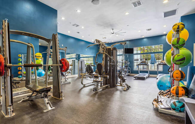 a gym with weights and cardio equipment in a building with blue walls at Reserve at Temple Terrace, Temple Terrace