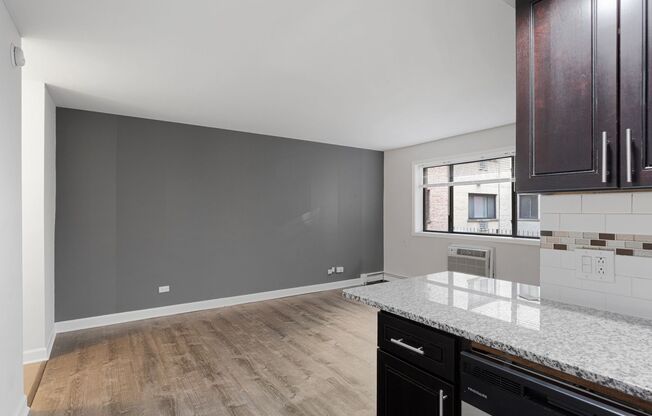 Studio, 1 bath, 371 sqft, $1,550, Unit 207